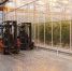 Шесть причин, почему трудоустройство должно быть официальным - Усть-Катавская неделя