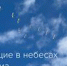 Аркаим запускает первый на Южном Урале фотоконкурс бёрдвотчинга - Управление культуры