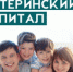 С начала года около 400 южноуральских семей направили материнский капитал на образование детей - Усть-Катавский городской округ