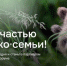 Компания «Мечел» выступит партнёром Детского экологического форума - Усть-Катавская неделя